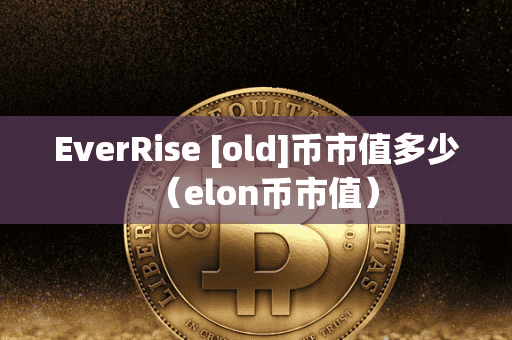 EverRie [old]币市值多少（elon币市值）