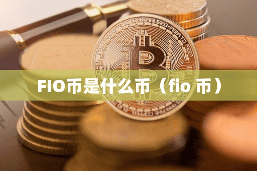 FIO币是什么币(fio 币)