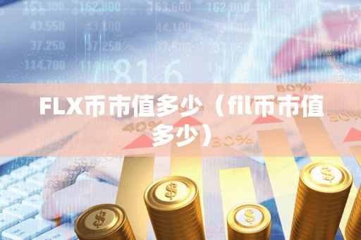 FLX币市值多少(fil币市值多少)