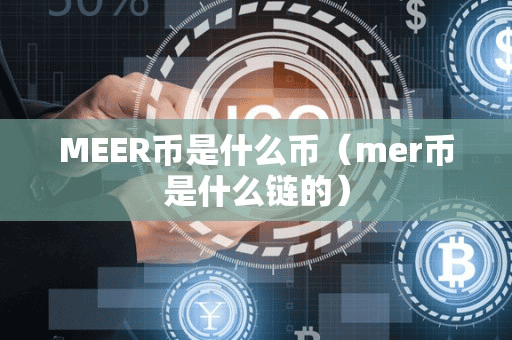 MEER币是什么币(mer币是什么链的)