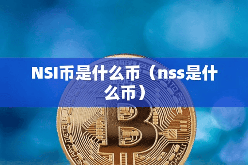 NSI币是什么币(n是什么币)