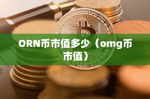 ORN币市值多少(omg币市值)