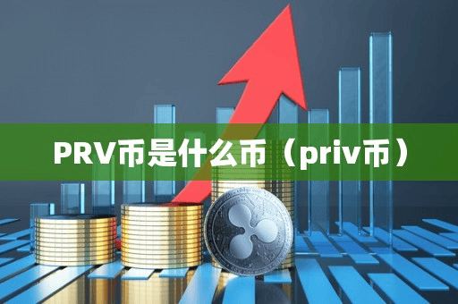 PRV币是什么币(priv币)