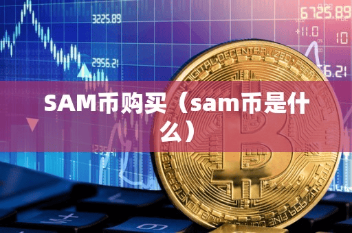 SAM币购买(am币是什么)