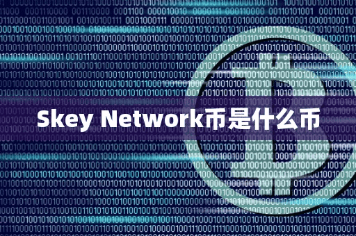 Skey Network币是什么币