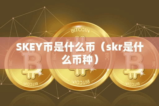 SKEY币是什么币(kr是什么币种)