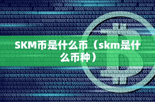SKM币是什么币(km是什么币种)