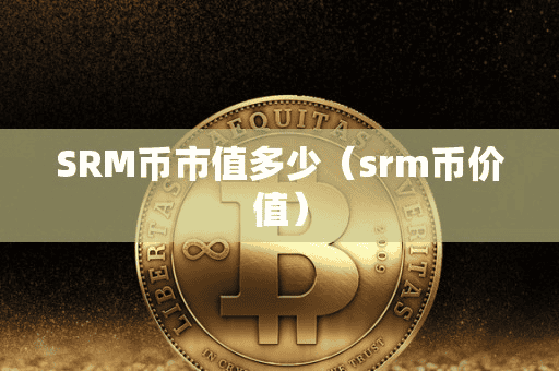 SRM币市值多少（rm币价值）
