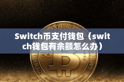 Switch币支付钱包(witch钱包有余额怎么办)