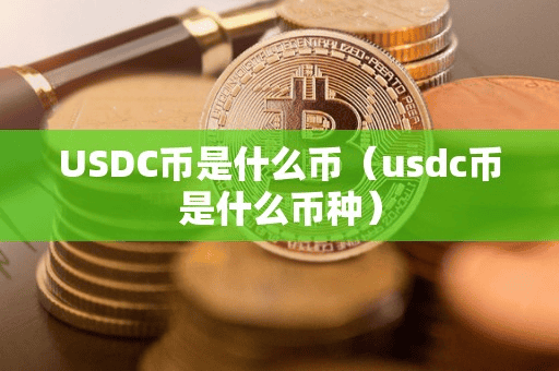 USDC币是什么币(udc币是什么币种)