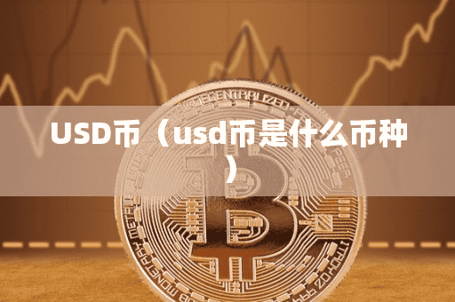 USD币(ud币是什么币种)