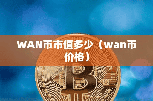 WAN币市值多少（wan币价格）