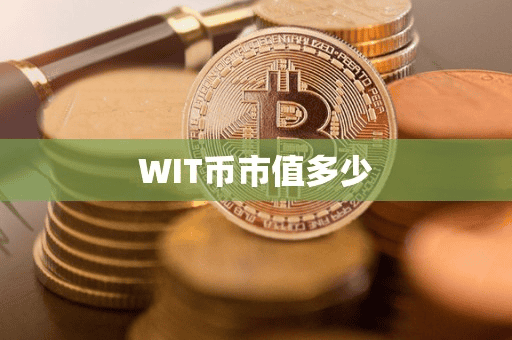 WIT币市值多少