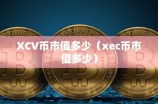 XCV币市值多少（xec币市值多少）