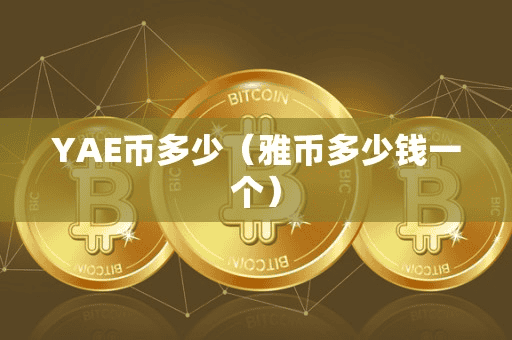 YAE币多少(雅币多少钱一个)