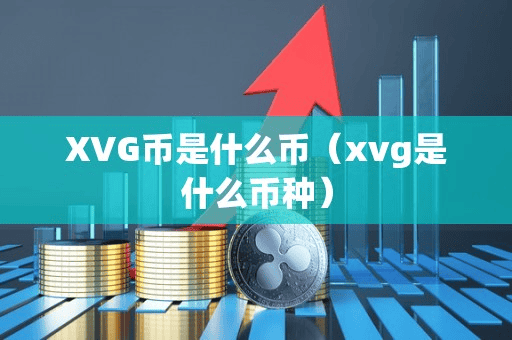 XVG币是什么币(xvg是什么币种)