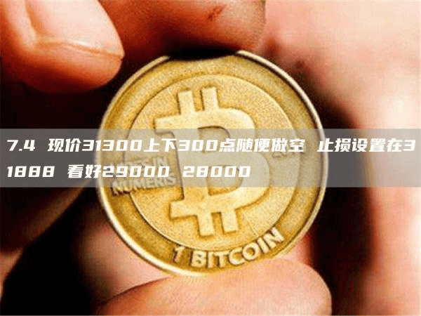 7.4 现价31300上下300点随便做空 止损设置在31888 看好29000 28000