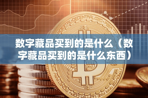 数字藏品买到的是什么(数字藏品买到的是什么东西)