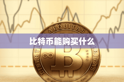比特币能购买什么