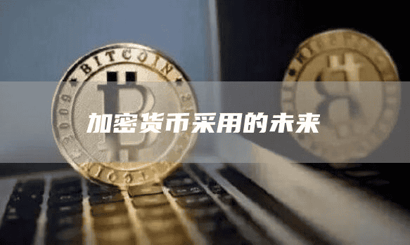 加密货币采用的未来
